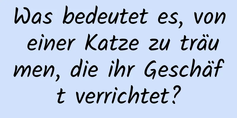 Was bedeutet es, von einer Katze zu träumen, die ihr Geschäft verrichtet?