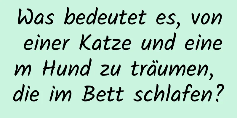 Was bedeutet es, von einer Katze und einem Hund zu träumen, die im Bett schlafen?