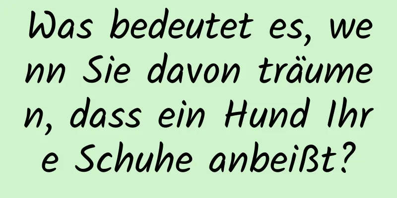 Was bedeutet es, wenn Sie davon träumen, dass ein Hund Ihre Schuhe anbeißt?