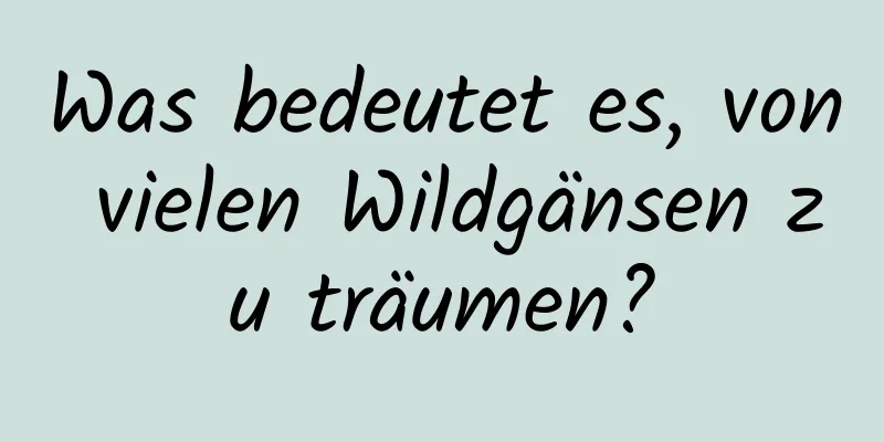 Was bedeutet es, von vielen Wildgänsen zu träumen?