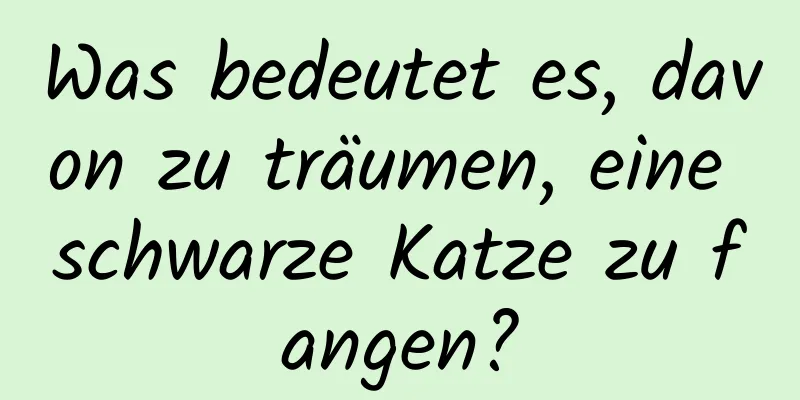 Was bedeutet es, davon zu träumen, eine schwarze Katze zu fangen?