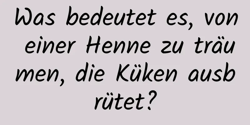 Was bedeutet es, von einer Henne zu träumen, die Küken ausbrütet?