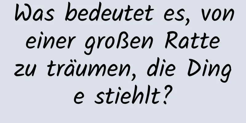 Was bedeutet es, von einer großen Ratte zu träumen, die Dinge stiehlt?