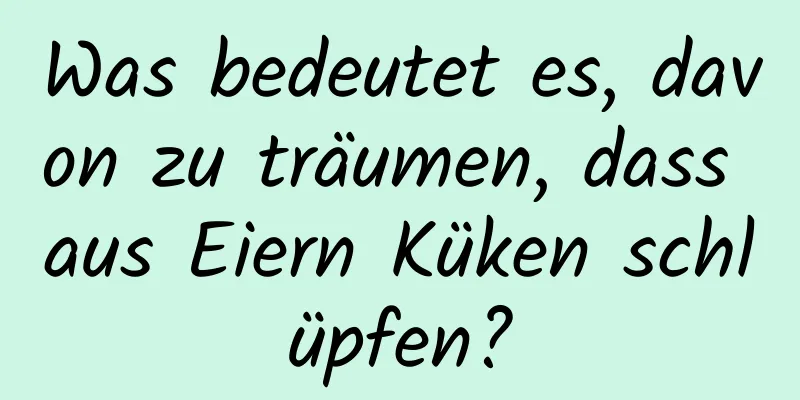 Was bedeutet es, davon zu träumen, dass aus Eiern Küken schlüpfen?