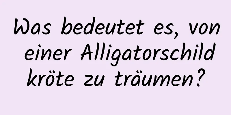 Was bedeutet es, von einer Alligatorschildkröte zu träumen?