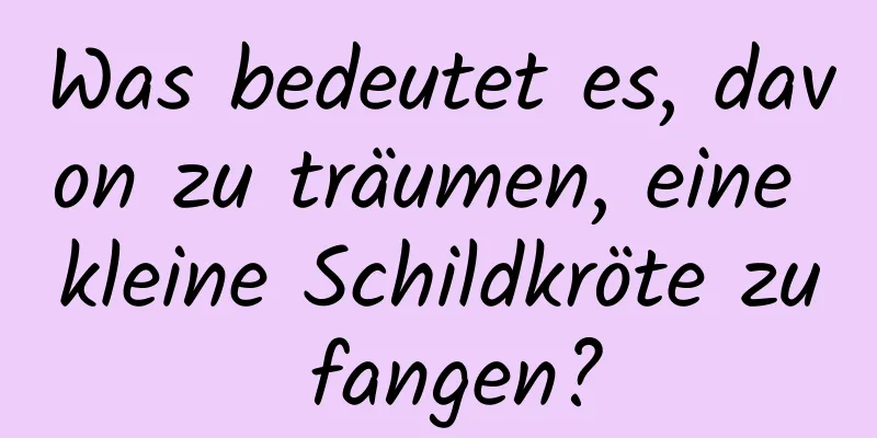 Was bedeutet es, davon zu träumen, eine kleine Schildkröte zu fangen?