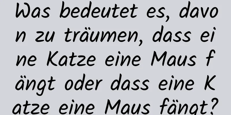 Was bedeutet es, davon zu träumen, dass eine Katze eine Maus fängt oder dass eine Katze eine Maus fängt?