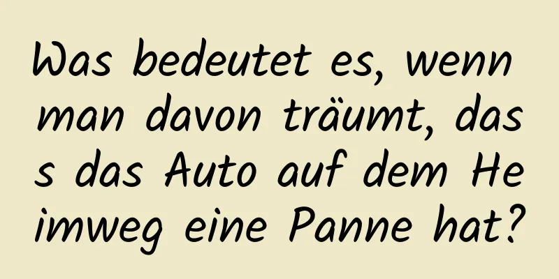 Was bedeutet es, wenn man davon träumt, dass das Auto auf dem Heimweg eine Panne hat?