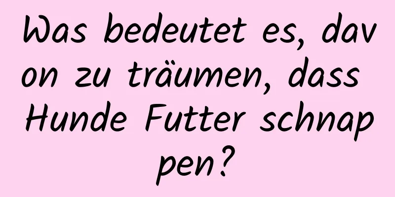 Was bedeutet es, davon zu träumen, dass Hunde Futter schnappen?