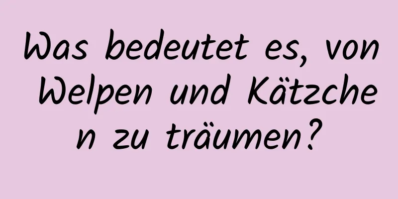 Was bedeutet es, von Welpen und Kätzchen zu träumen?