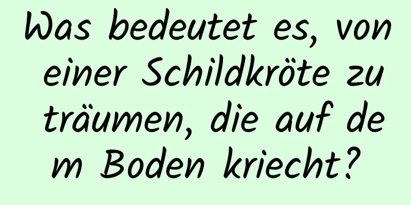 Was bedeutet es, von einer Schildkröte zu träumen, die auf dem Boden kriecht?