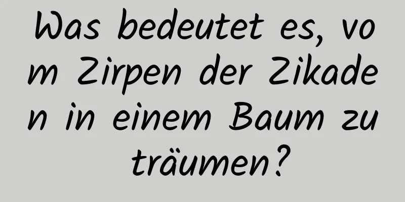 Was bedeutet es, vom Zirpen der Zikaden in einem Baum zu träumen?