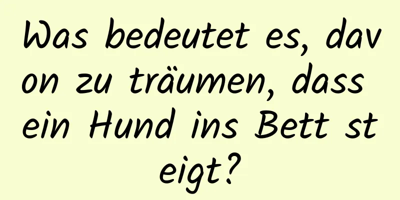 Was bedeutet es, davon zu träumen, dass ein Hund ins Bett steigt?