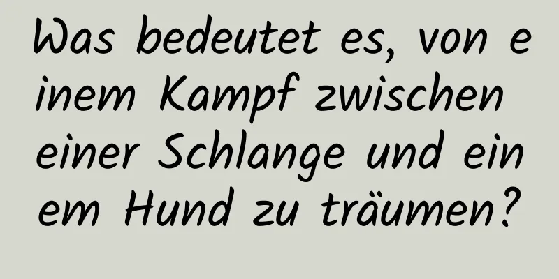 Was bedeutet es, von einem Kampf zwischen einer Schlange und einem Hund zu träumen?