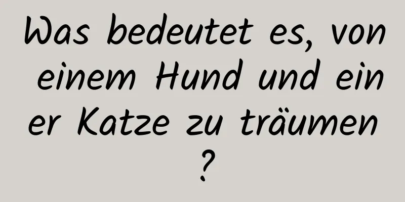 Was bedeutet es, von einem Hund und einer Katze zu träumen?