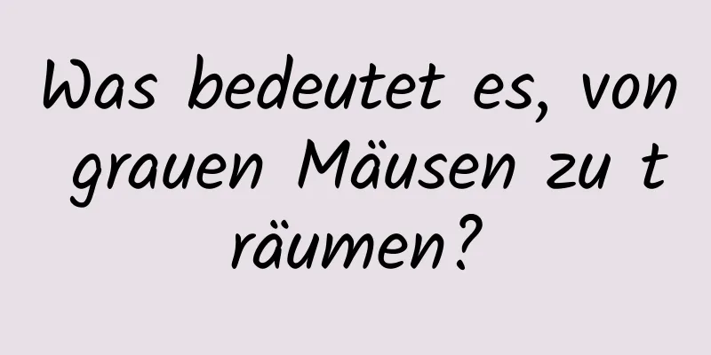 Was bedeutet es, von grauen Mäusen zu träumen?