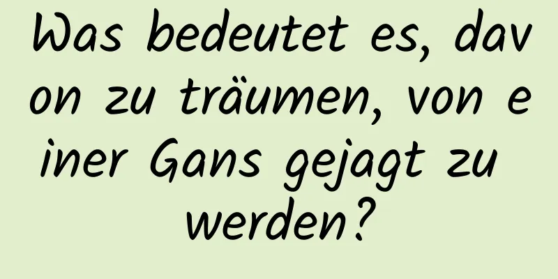 Was bedeutet es, davon zu träumen, von einer Gans gejagt zu werden?