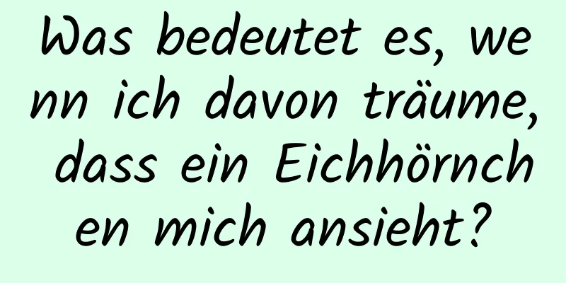 Was bedeutet es, wenn ich davon träume, dass ein Eichhörnchen mich ansieht?