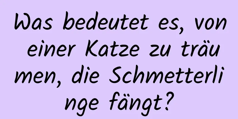 Was bedeutet es, von einer Katze zu träumen, die Schmetterlinge fängt?