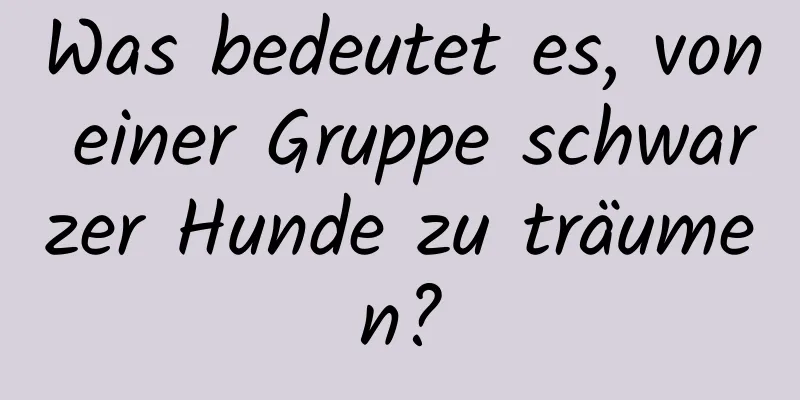 Was bedeutet es, von einer Gruppe schwarzer Hunde zu träumen?