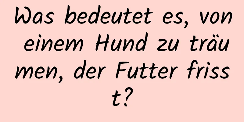 Was bedeutet es, von einem Hund zu träumen, der Futter frisst?