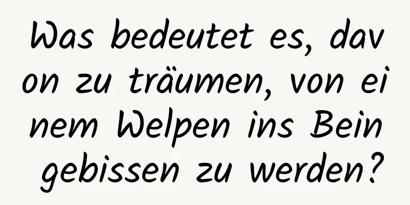 Was bedeutet es, davon zu träumen, von einem Welpen ins Bein gebissen zu werden?