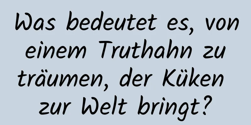 Was bedeutet es, von einem Truthahn zu träumen, der Küken zur Welt bringt?