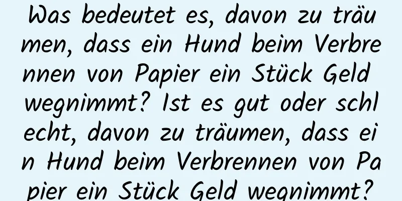 Was bedeutet es, davon zu träumen, dass ein Hund beim Verbrennen von Papier ein Stück Geld wegnimmt? Ist es gut oder schlecht, davon zu träumen, dass ein Hund beim Verbrennen von Papier ein Stück Geld wegnimmt?