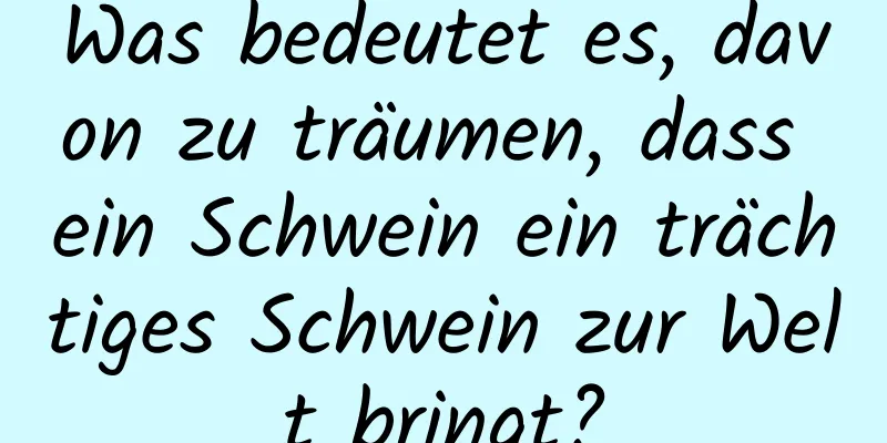 Was bedeutet es, davon zu träumen, dass ein Schwein ein trächtiges Schwein zur Welt bringt?