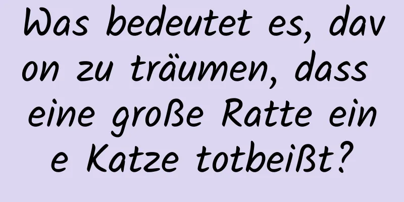 Was bedeutet es, davon zu träumen, dass eine große Ratte eine Katze totbeißt?