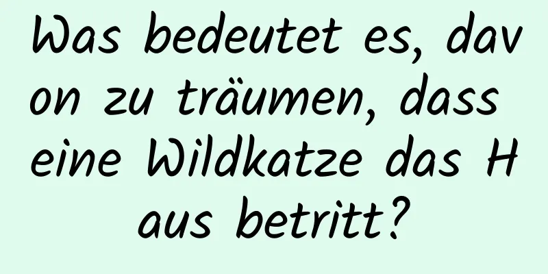 Was bedeutet es, davon zu träumen, dass eine Wildkatze das Haus betritt?