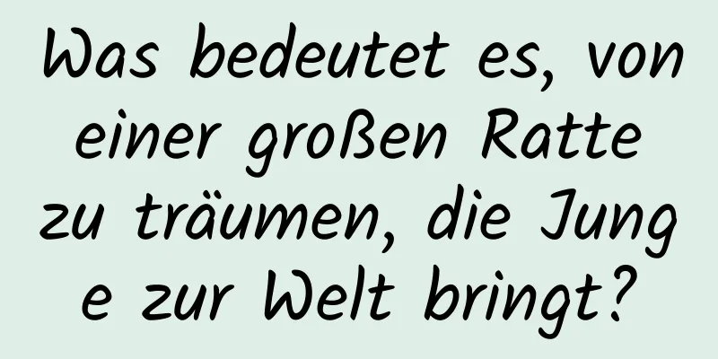 Was bedeutet es, von einer großen Ratte zu träumen, die Junge zur Welt bringt?