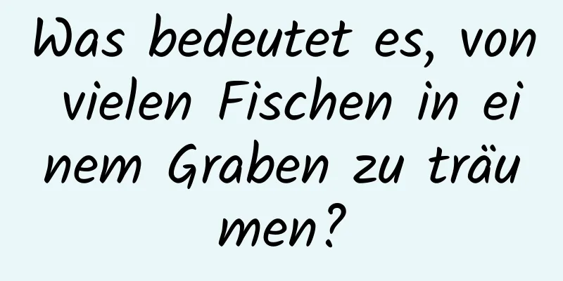 Was bedeutet es, von vielen Fischen in einem Graben zu träumen?