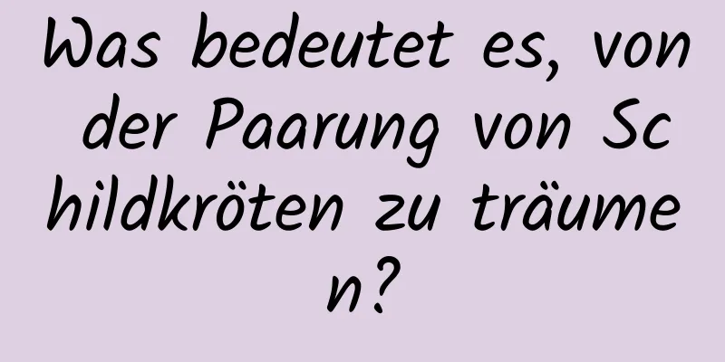 Was bedeutet es, von der Paarung von Schildkröten zu träumen?