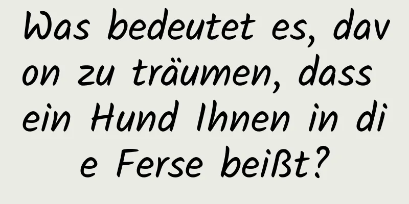 Was bedeutet es, davon zu träumen, dass ein Hund Ihnen in die Ferse beißt?