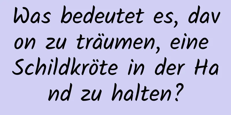 Was bedeutet es, davon zu träumen, eine Schildkröte in der Hand zu halten?