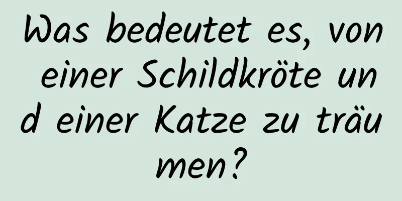 Was bedeutet es, von einer Schildkröte und einer Katze zu träumen?