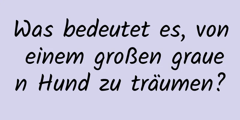 Was bedeutet es, von einem großen grauen Hund zu träumen?