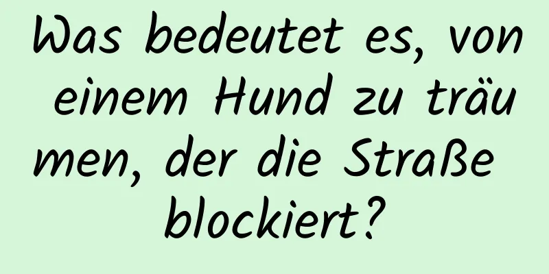 Was bedeutet es, von einem Hund zu träumen, der die Straße blockiert?