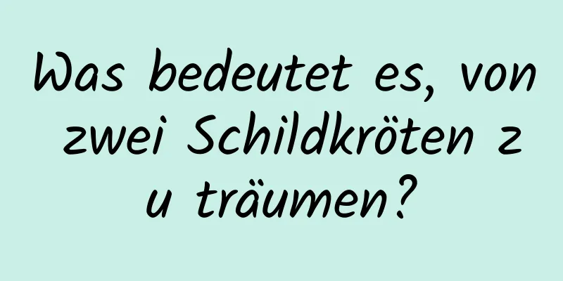 Was bedeutet es, von zwei Schildkröten zu träumen?