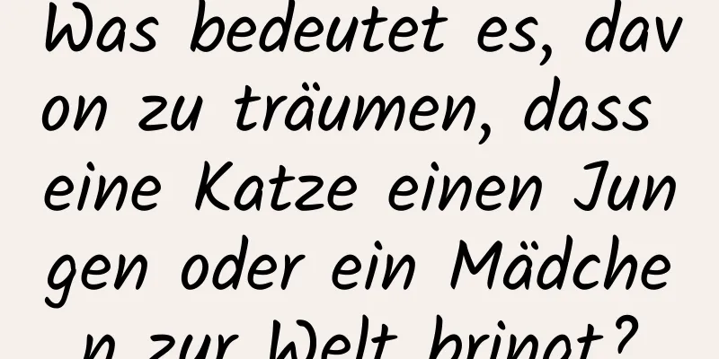 Was bedeutet es, davon zu träumen, dass eine Katze einen Jungen oder ein Mädchen zur Welt bringt?