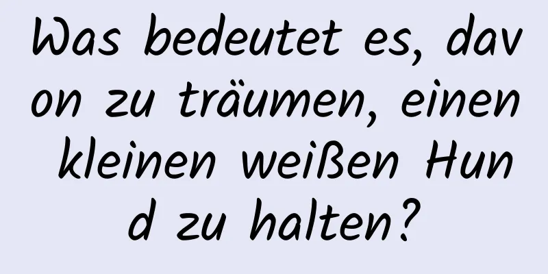 Was bedeutet es, davon zu träumen, einen kleinen weißen Hund zu halten?