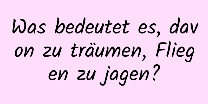 Was bedeutet es, davon zu träumen, Fliegen zu jagen?