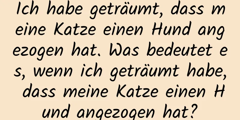 Ich habe geträumt, dass meine Katze einen Hund angezogen hat. Was bedeutet es, wenn ich geträumt habe, dass meine Katze einen Hund angezogen hat?