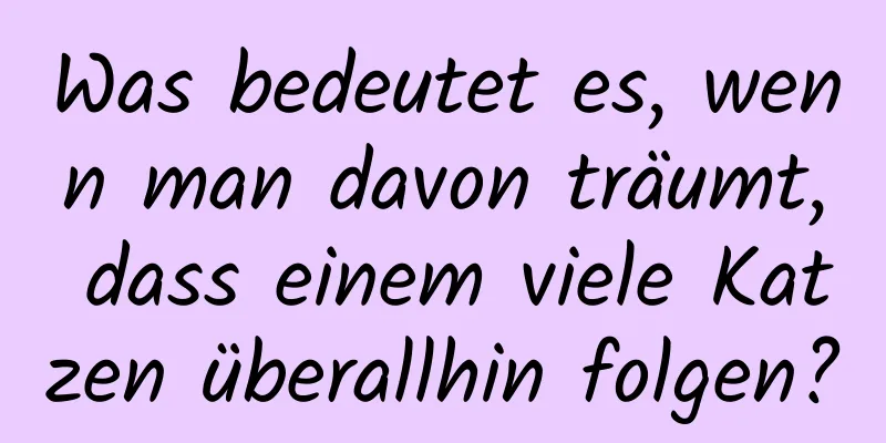 Was bedeutet es, wenn man davon träumt, dass einem viele Katzen überallhin folgen?