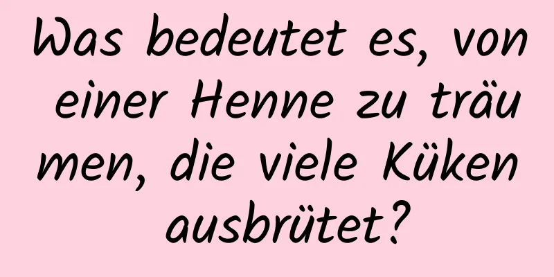 Was bedeutet es, von einer Henne zu träumen, die viele Küken ausbrütet?