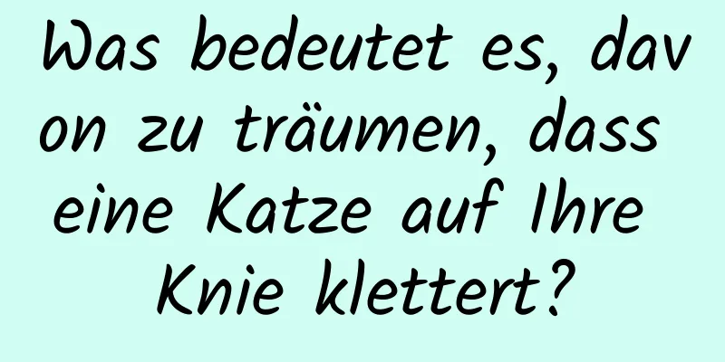 Was bedeutet es, davon zu träumen, dass eine Katze auf Ihre Knie klettert?