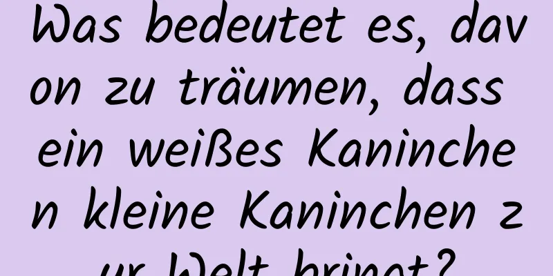 Was bedeutet es, davon zu träumen, dass ein weißes Kaninchen kleine Kaninchen zur Welt bringt?