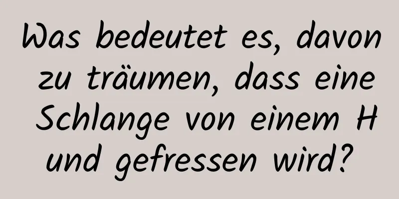 Was bedeutet es, davon zu träumen, dass eine Schlange von einem Hund gefressen wird?