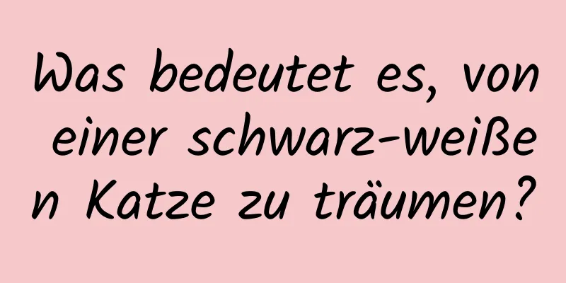 Was bedeutet es, von einer schwarz-weißen Katze zu träumen?